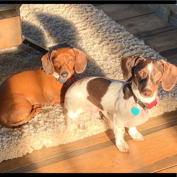 Meet your Posher, Eric - Picture 2 of 3